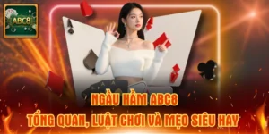 ngầu hầm ABC8